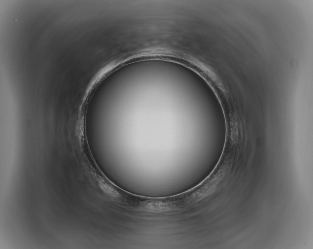 X0000116681366200912211615