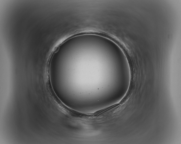 X0000116681367200912211615