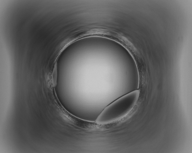 X0000116681369200912211615