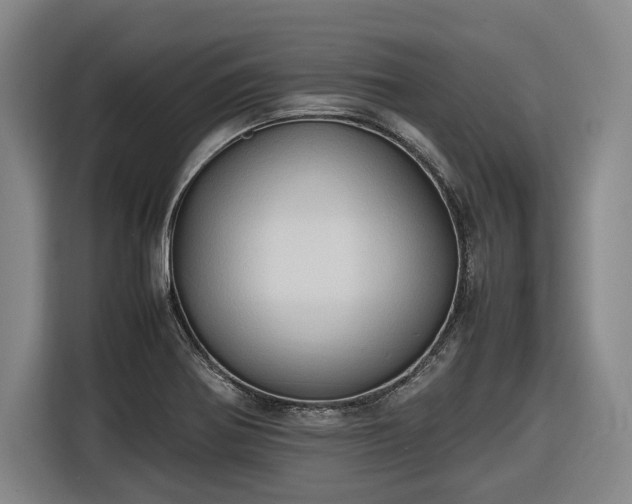 X0000116681370200912211615