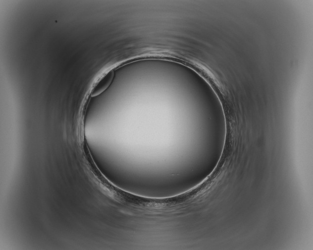 X0000116681371200912211615