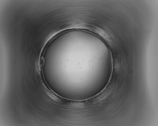 X0000116681372200912211615