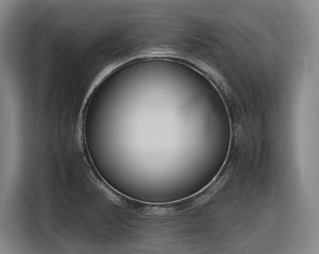 X0000116681374200912211615