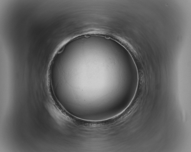 X0000116681375200912211615