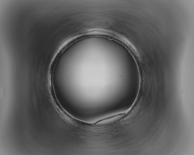 X0000116681376200912211615