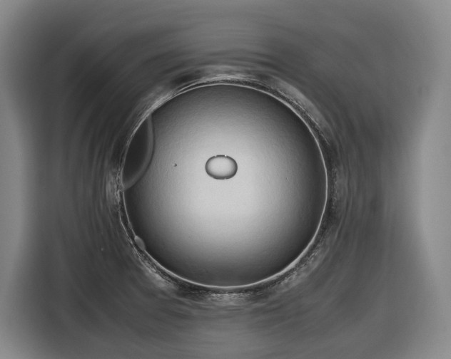 X0000116681377200912211615