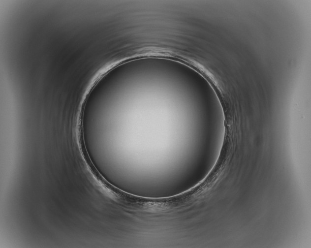 X0000116681379200912211615