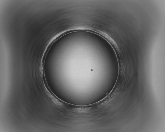 X0000116681380200912211615