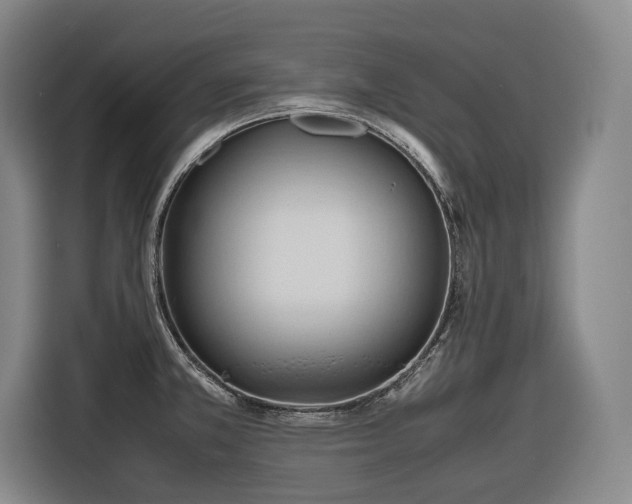 X0000116681381200912211615