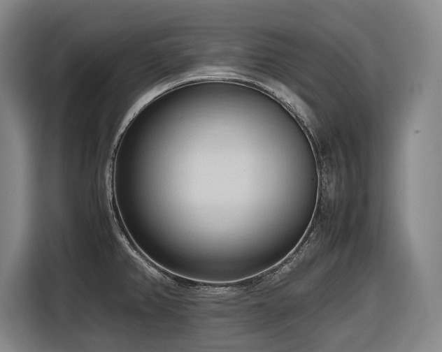 X0000116681382200912211615