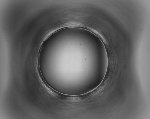 X0000116681383200912211615