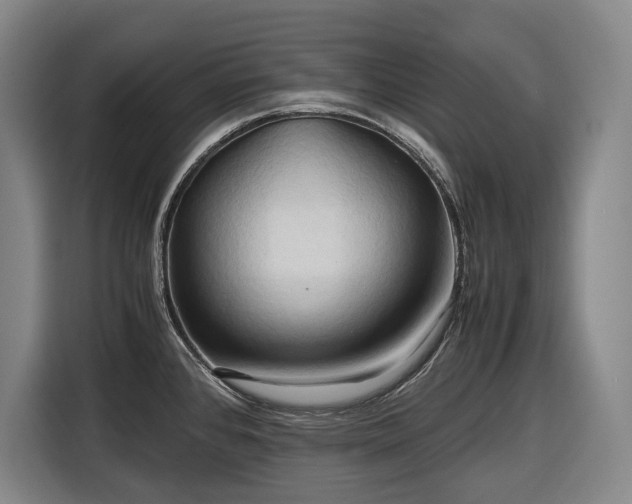 X0000116681384200912211615