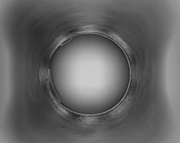 X0000116681385200912211615