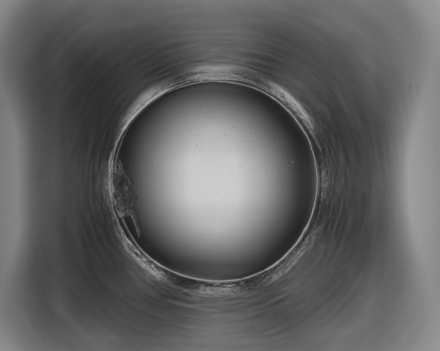 X0000116681386200912211615