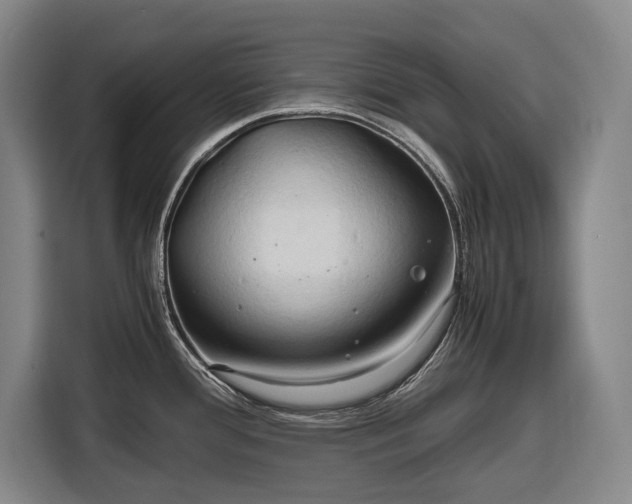 X0000116681388200912211615