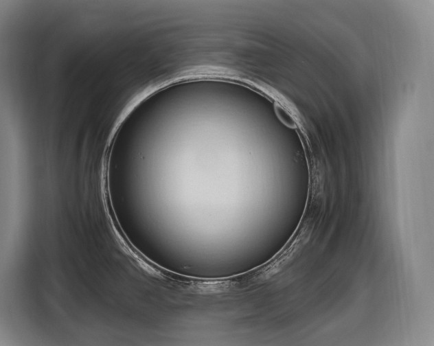 X0000116681390200912211615