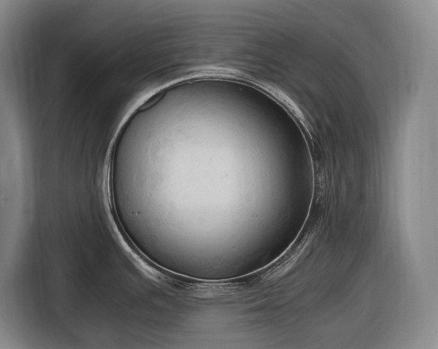 X0000116681391200912211615