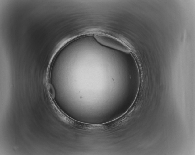 X0000116681392200912211615