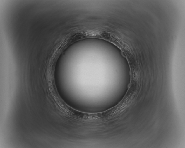 X0000116681393200912211614