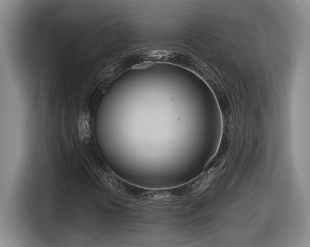 X0000116681394200912211614