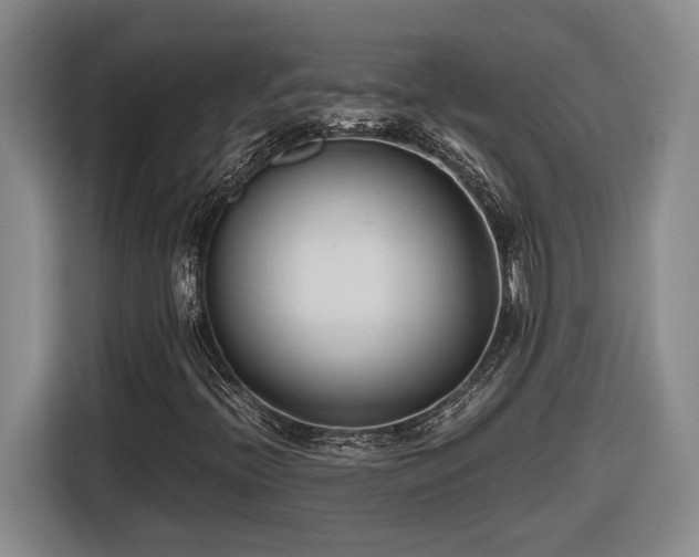 X0000116681396200912211614