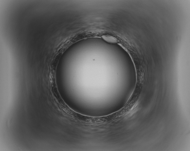 X0000116681397200912211614