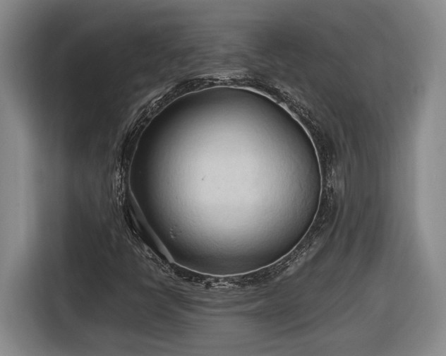 X0000116681398200912211614