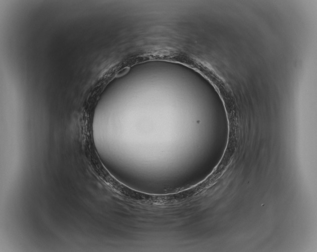 X0000116681399200912211614