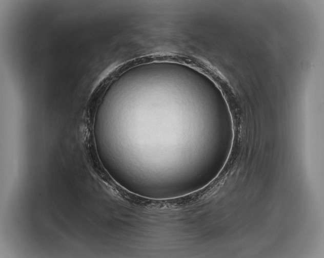 X0000116681400200912211614