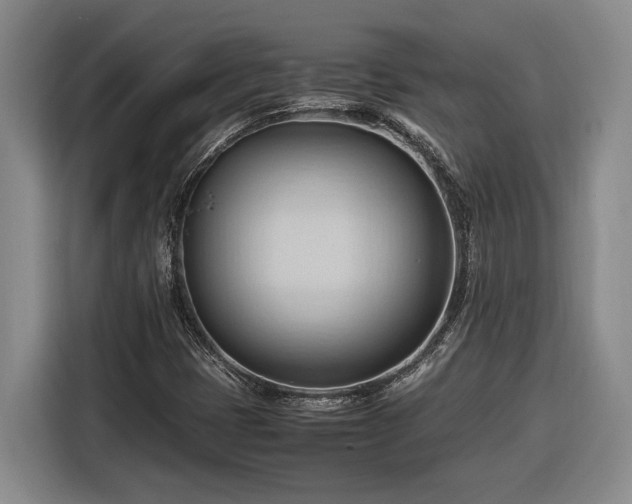 X0000116681401200912211614