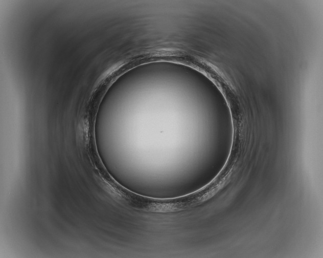 X0000116681402200912211614