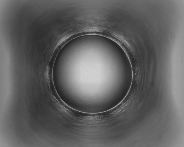 X0000116681404200912211614