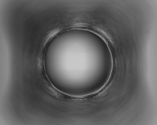 X0000116681405200912211614