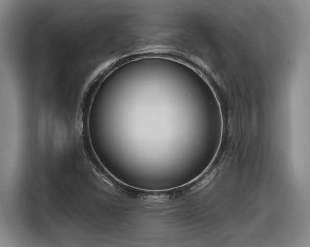 X0000116681406200912211614