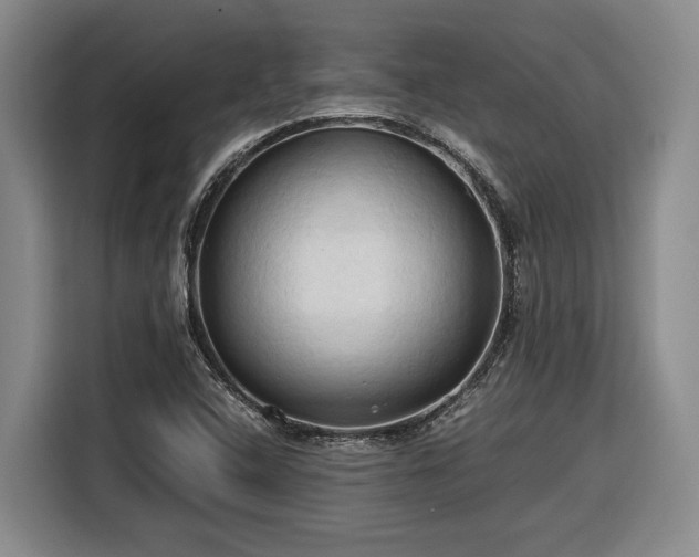 X0000116681408200912211615