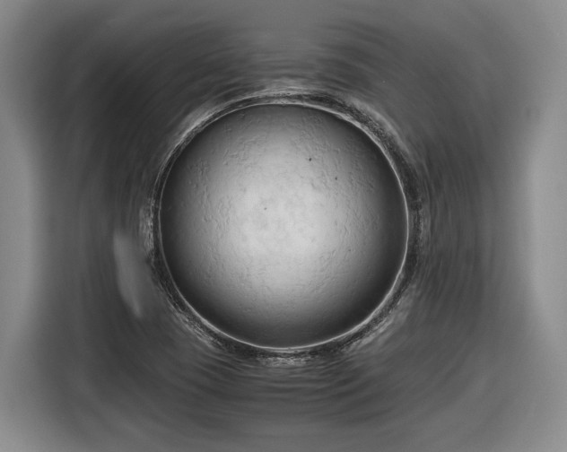 X0000116681409200912211615