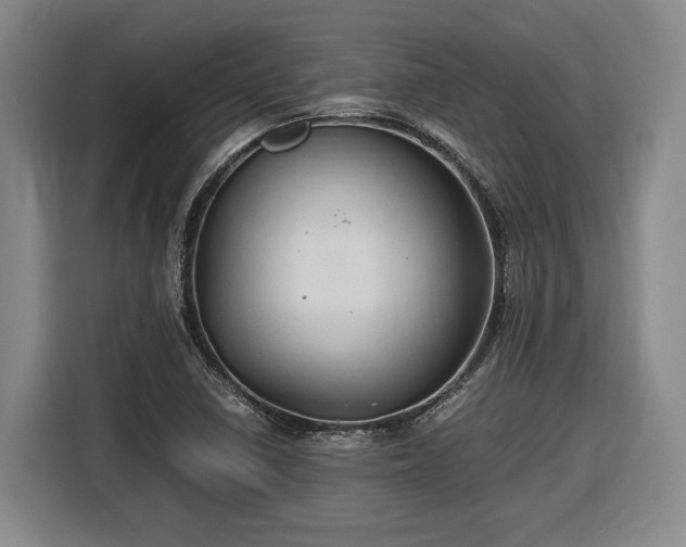 X0000116681410200912211615