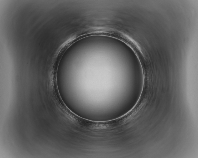 X0000116681411200912211615