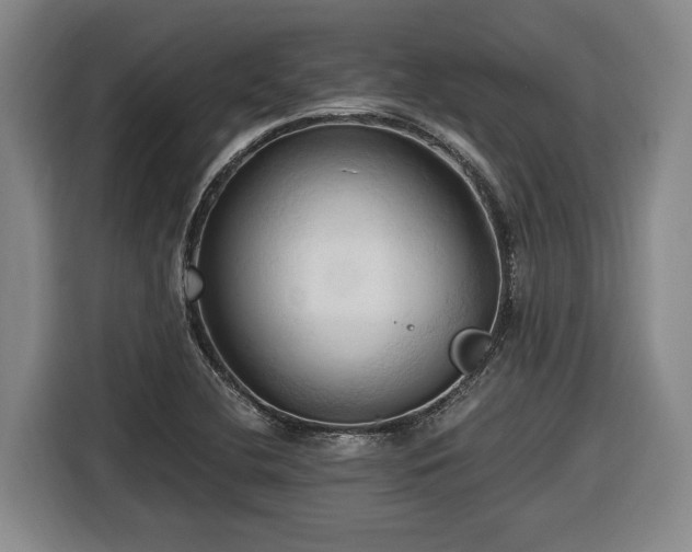 X0000116681412200912211615