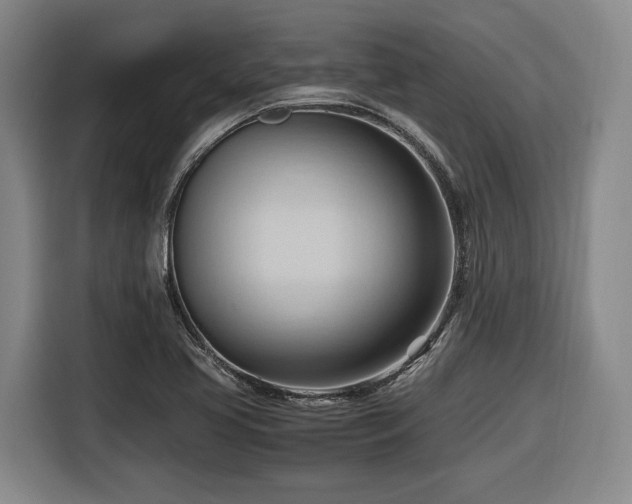 X0000116681413200912211615