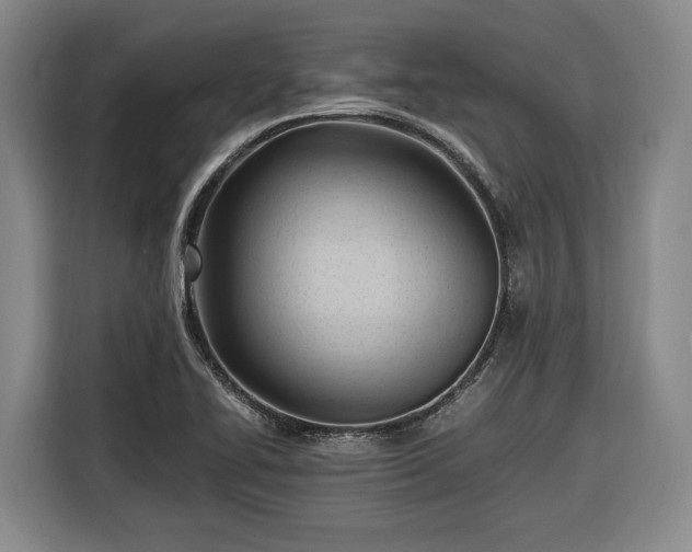 X0000116681414200912211615