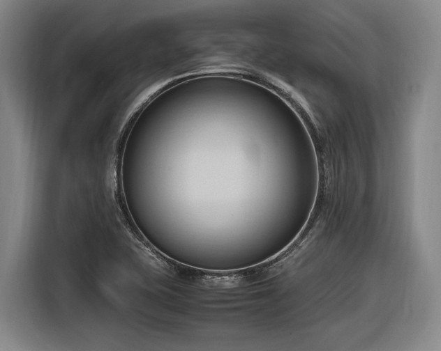 X0000116681415200912211615