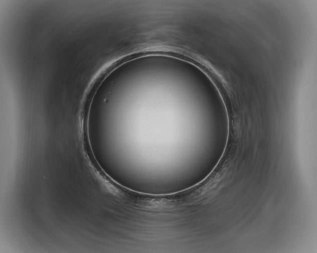 X0000116681416200912211615