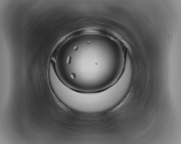 X0000116681417200912211615