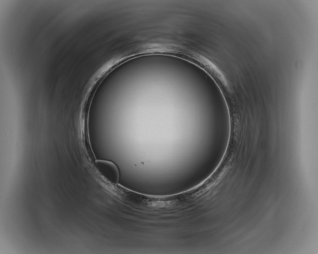 X0000116681419200912211615