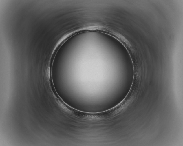 X0000116681420200912211615