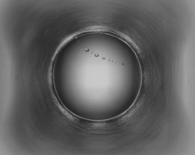 X0000116681421200912211615