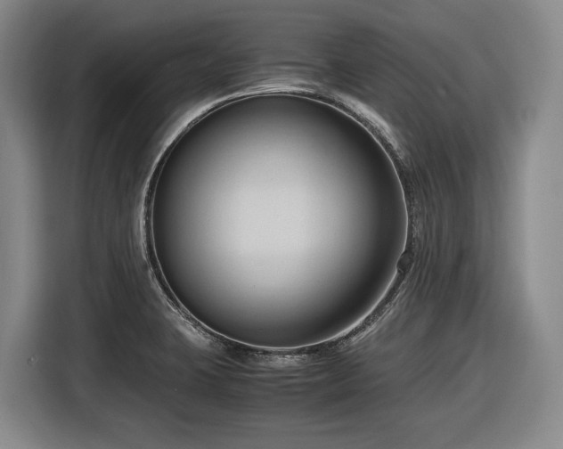 X0000116681423200912211615