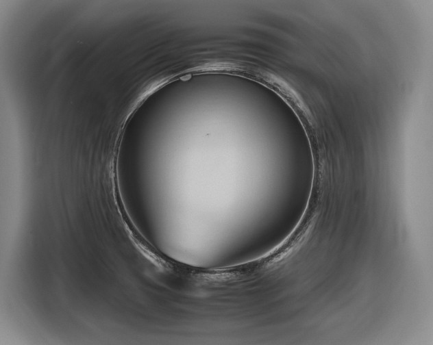 X0000116681425200912211615