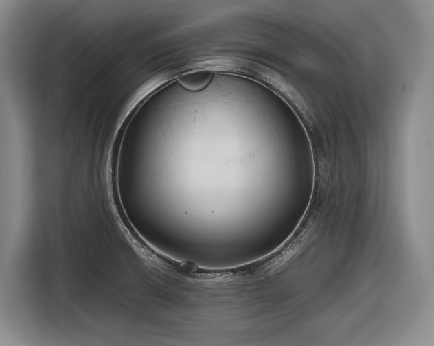 X0000116681426200912211615